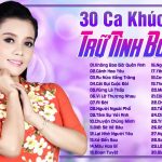 Khám Phá Thế Giới Nhạc Trữ Tình – Giai Điệu Sâu Lắng Chạm Tới Cảm Xúc