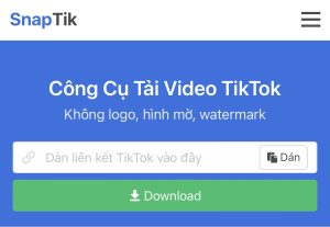 Hướng Dẫn Sử Dụng Snaptiktok Để Tải Video TikTok Chuyên Nghiệp