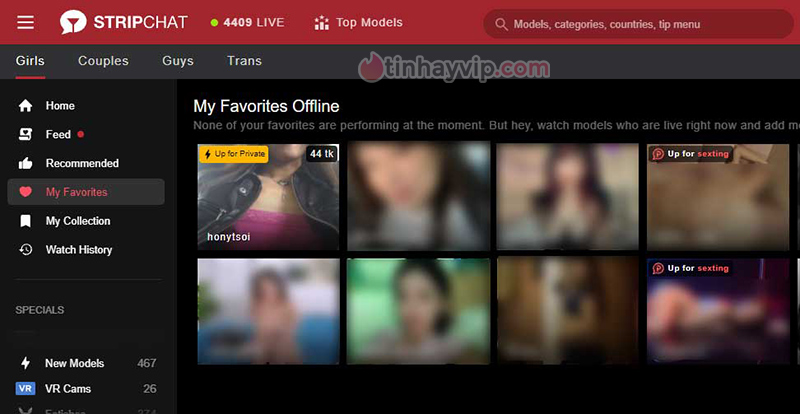 Strip Chat là gì - Thiết lập tài khoản và quyền riêng tư