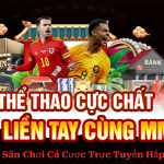 Cách đọc và chọn kèo bóng trên thể thao MM88 com cho người mới