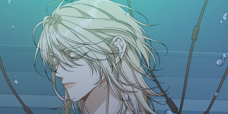 Quả Anh Đào Cuteo - Định vị và đối tượng người dùng Quả Anh Đào Cuteo - Định vị và đối tượng người dùng