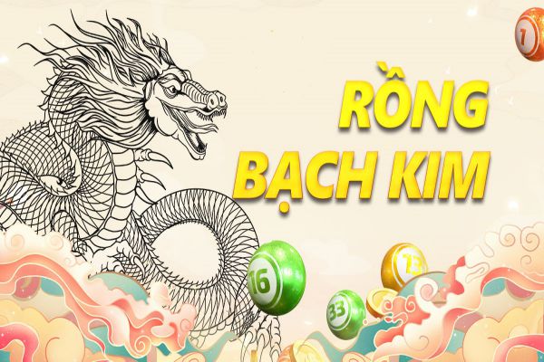 Rồng Bạch Kim là website chuyên cung cấp các công cụ dự đoán kết quả xổ số (lô đề) uy tín