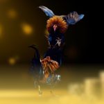 GA6789 trải nghiệm đá gà bình luận trực tuyến sống động 2025