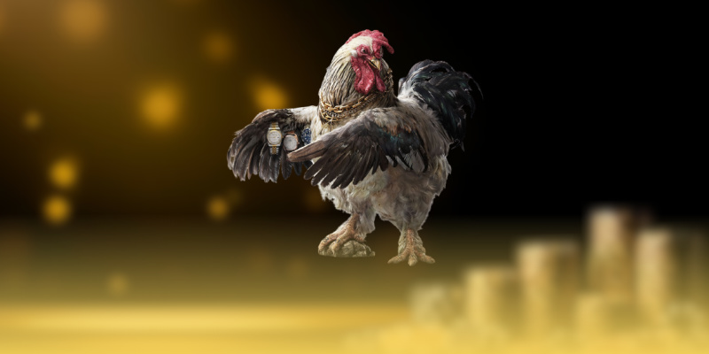 Theo dõi toàn bộ trận để tăng độ chuẩn xác