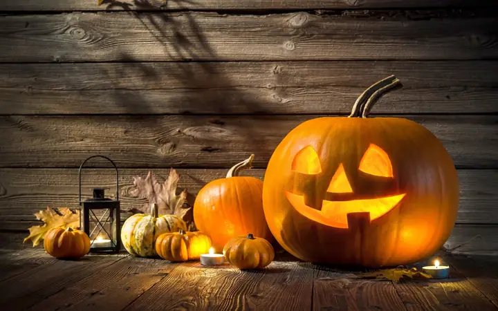 Lễ hội Halloween - Ma, phù thuỷ, mèo đen và nhện Lễ hội Halloween - Ma, phù thuỷ, mèo đen và nhện
