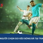Vì sao nhiều người chọn soi kèo bóng đá tại trang web kqbd