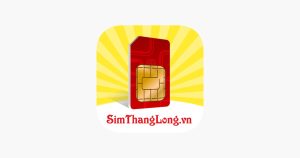 Sim Thăng Long - Top 10 Địa Chỉ Mua Sim Số Đẹp Uy Tín