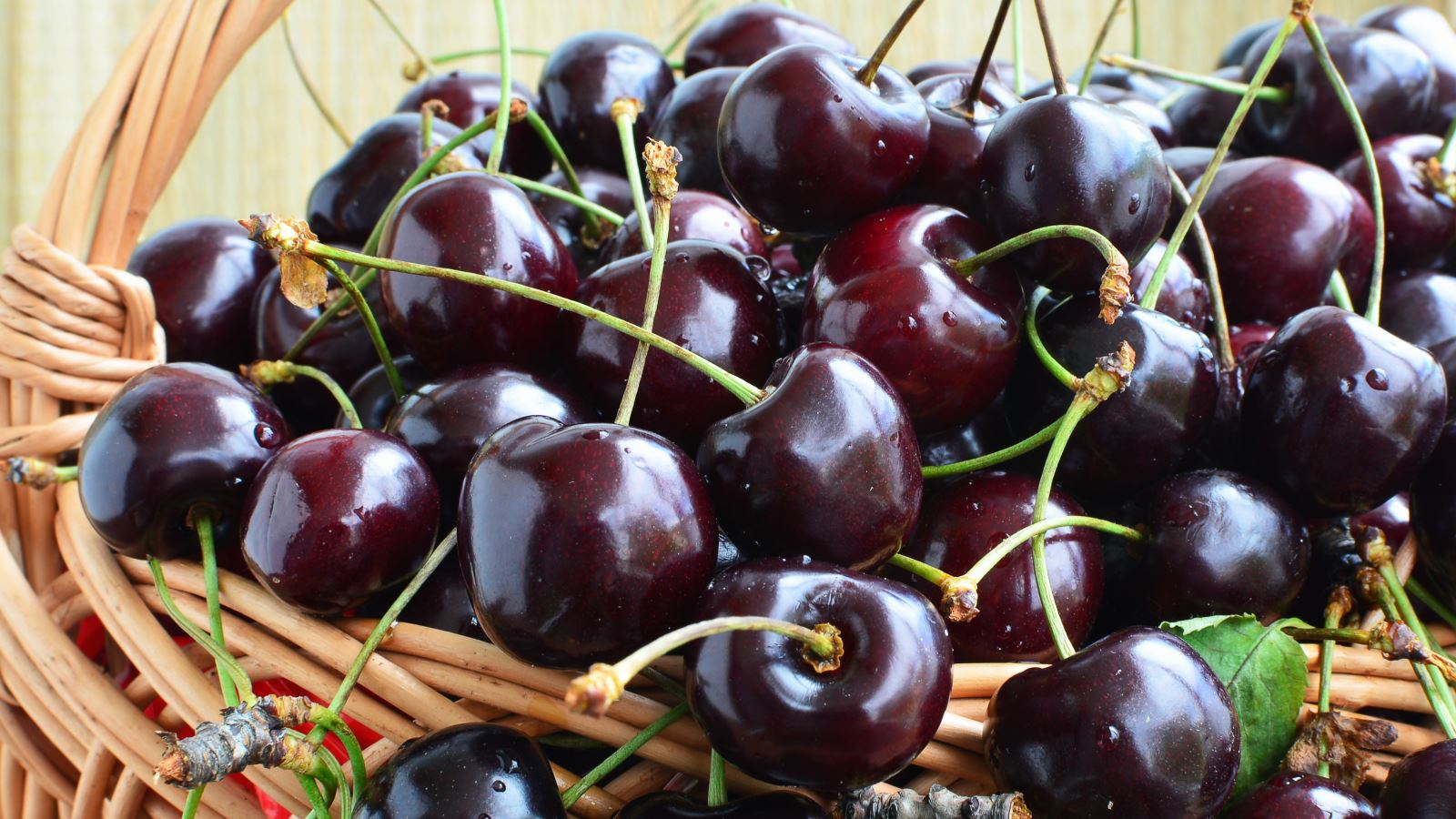 Bí quyết giữ độ tươi cho trái anh đào