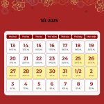 Còn Bao Nhiêu Ngày Nữa Đến Tết - Xuân Bính Ngọ 2026