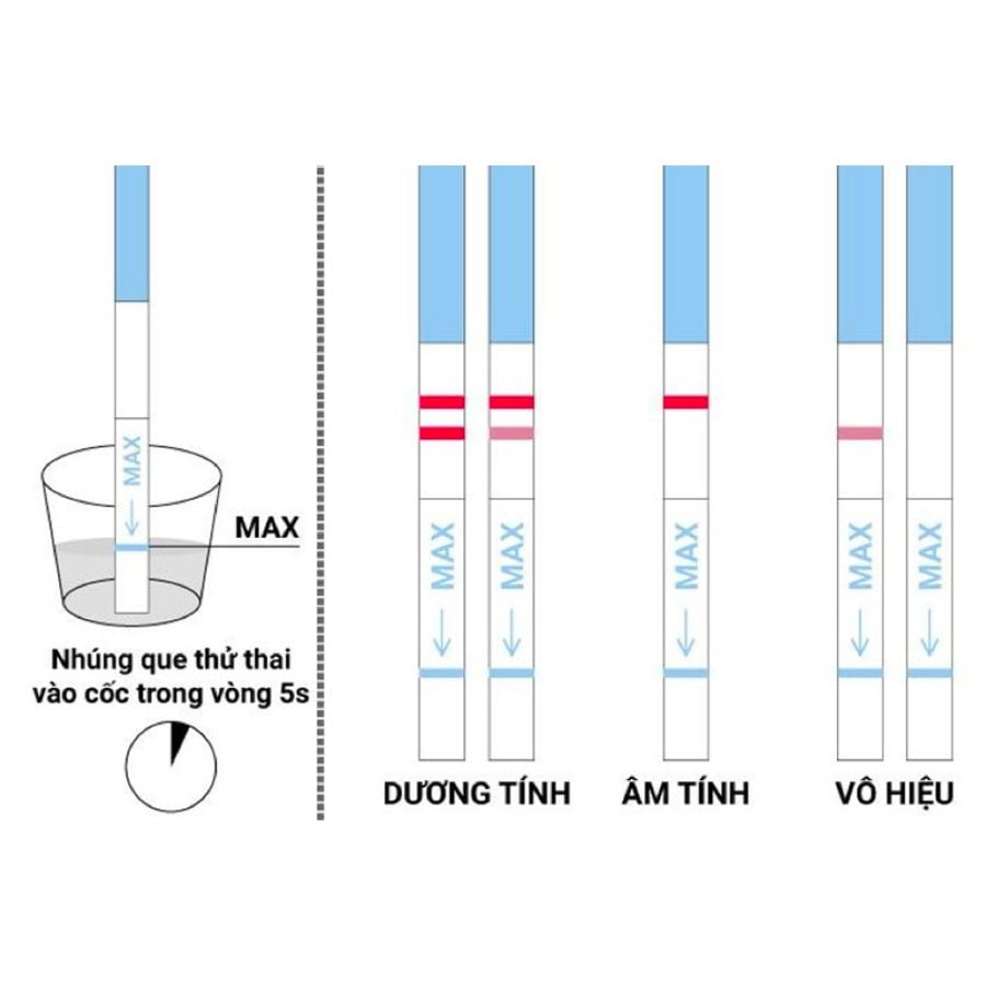 Cơ chế vận hành của dụng cụ xác định thai