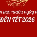 Còn Bao Nhiêu Ngày Nữa Đến Tết 2026 - Cập Nhật Lịch Nghỉ Lễ