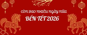Còn Bao Nhiêu Ngày Nữa Đến Tết 2026 - Cập Nhật Lịch Nghỉ Lễ