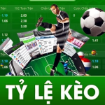 Đọc tỷ lệ kèo – khi con số trở thành kim chỉ nam cảm xúc