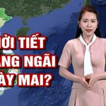 Thời Tiết Thành Phố Quảng Ngãi - 5 Thông Tin Quan Trọng Cần Lưu Ý