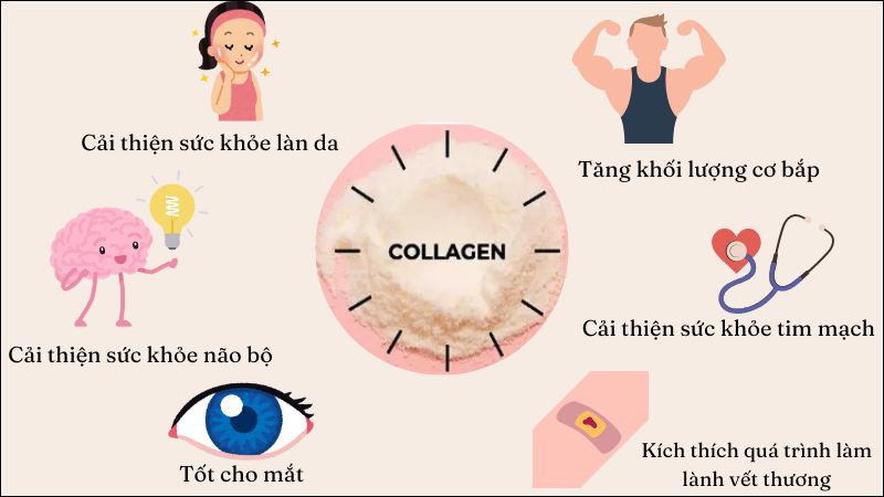 Vai trò thiết yếu của collagen với sức khỏe