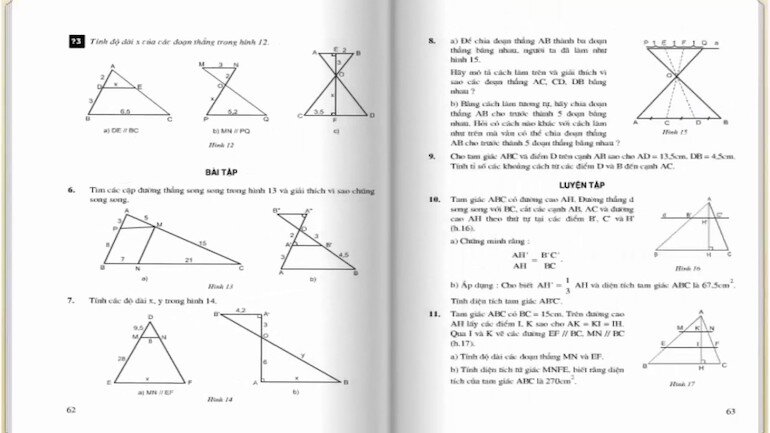 Các mảng kiến thức chính của chương trình lớp 8