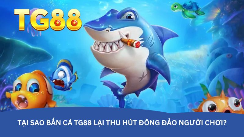 Tại sao Bắn cá TG88 lại thu hút đông đảo người chơi?