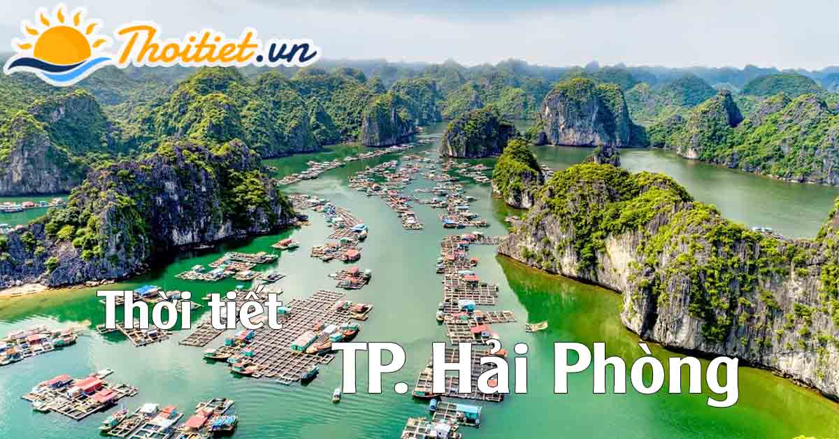 Các thông số đo lường khí tượng tại cảng