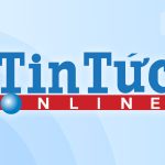 Tintuconline - Phương Pháp Tiếp Cận Thông Tin Hiệu Quả 2026