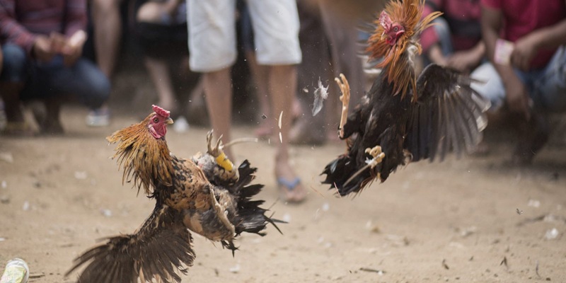 Ưu đãi rất rõ ràng