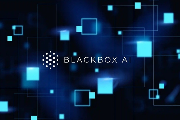 Blackbox - Gợi ý code kèm giải thích