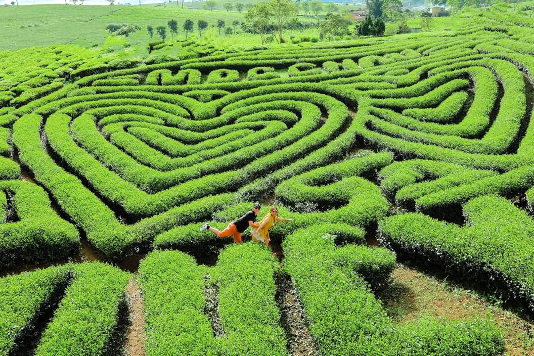 Mộc Châu - Không gian mát mẻ và nhịp sống chậm