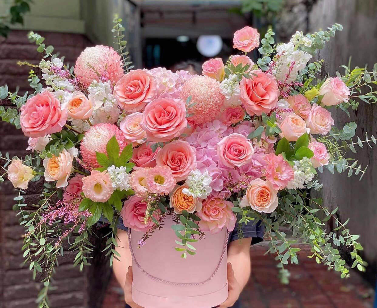 Hoa đẹp - Hoa sen – thuần khiết và bền bỉ Hoa đẹp - Hoa sen – thuần khiết và bền bỉ