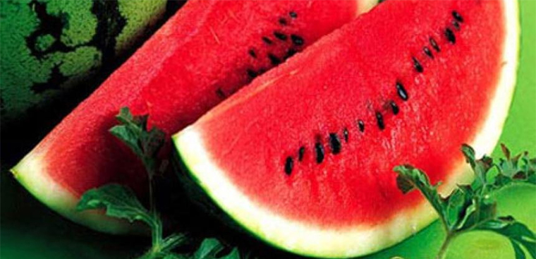 Dưa hấu - Tưới nước theo từng giai đoạn