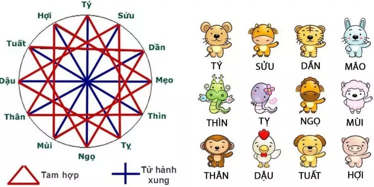 Tứ hành xung là gì - Ngũ hành và tính biểu tượng Tứ hành xung là gì - Ngũ hành và tính biểu tượng