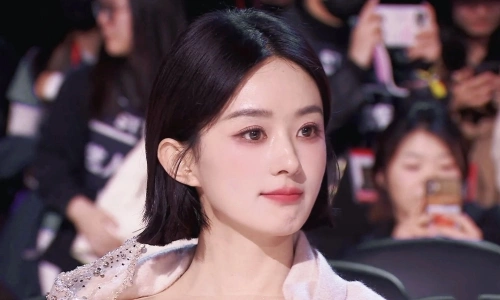 Triệu Lệ Dĩnh - Cột mốc ghi nhận