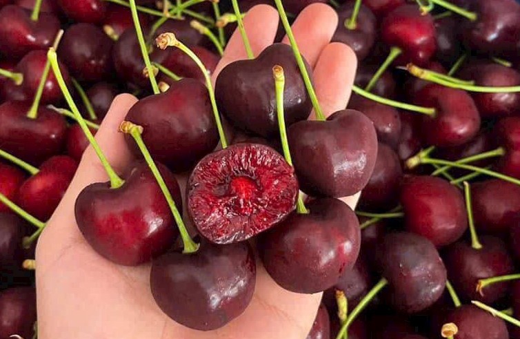 Cherry - Hỗ trợ chống oxy hóa và bảo vệ tế bào Cherry - Hỗ trợ chống oxy hóa và bảo vệ tế bào