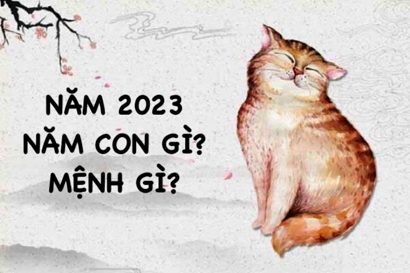 Năm 2023 là năm con gì - Người sinh năm 2023 thuộc mệnh Kim Bạch Kim Năm 2023 là năm con gì - Người sinh năm 2023 thuộc mệnh Kim Bạch Kim