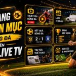 Xem Bóng Đá Socolive Tận Hưởng Nhịp Đập Sân Cỏ Trực Tuyến