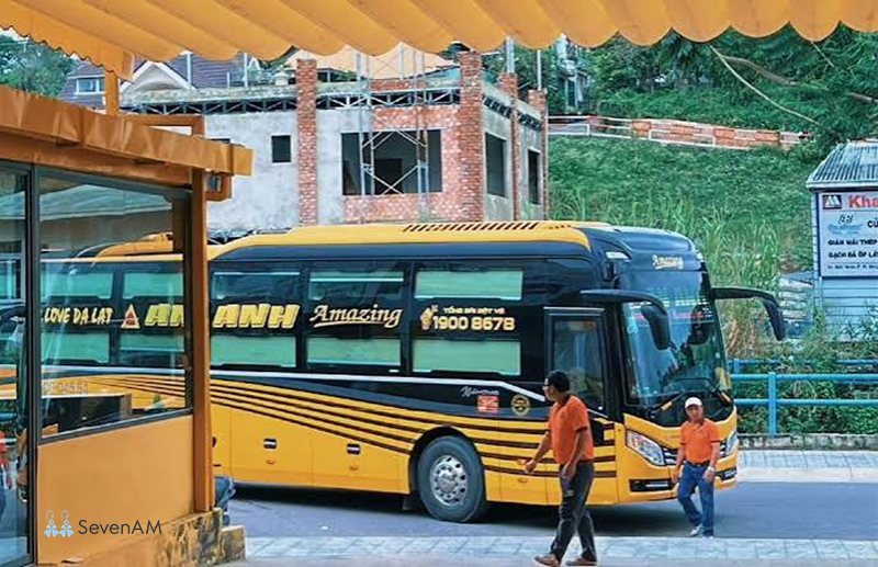 An Anh - Cách tra cứu thông tin An Anh chính xác hơn An Anh - Cách tra cứu thông tin An Anh chính xác hơn
