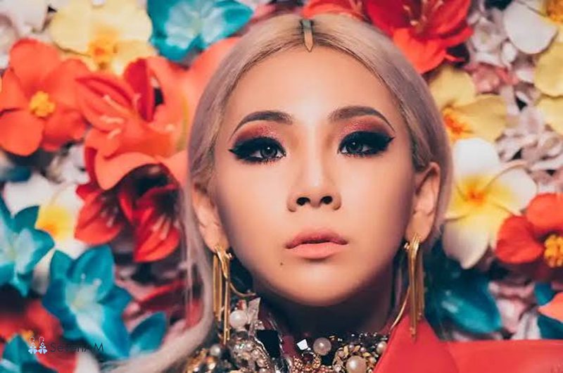 Cl là ai - Lưu ý khi sử dụng CL trong giao tiếp Cl là ai - Lưu ý khi sử dụng CL trong giao tiếp