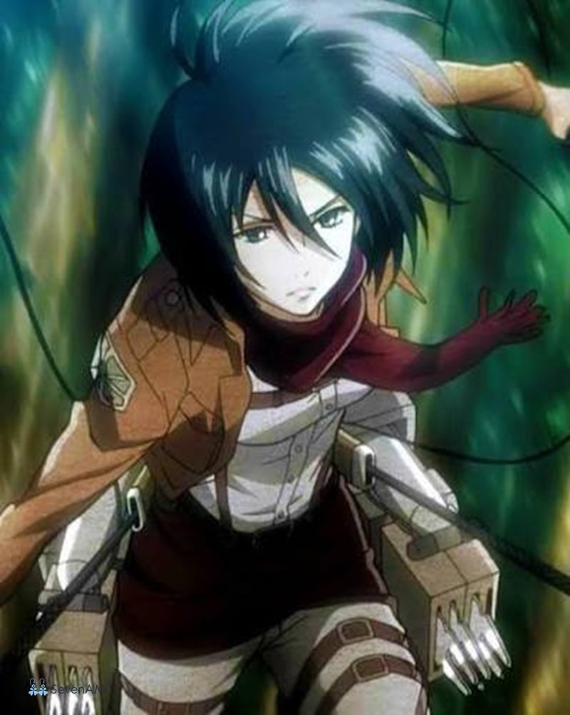 Mikasa Ackerman - Xuất thân và tuổi thơ của Mikasa Mikasa Ackerman - Xuất thân và tuổi thơ của Mikasa