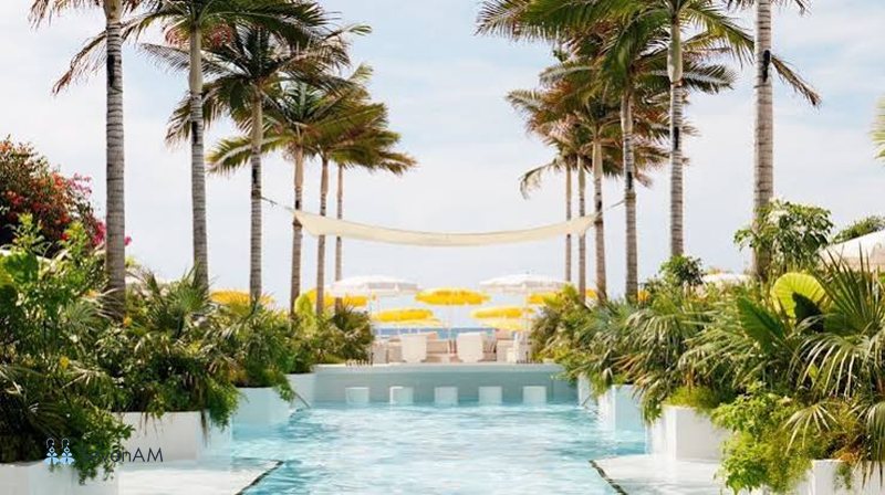 Palm Heights - Tiện ích nội khu tại Palm Heights Palm Heights - Tiện ích nội khu tại Palm Heights
