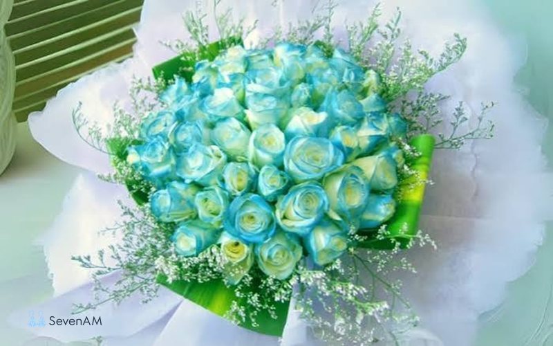 Tải ảnh hoa sinh nhật đẹp - Ảnh hoa kèm bánh kem, nến và quà tặng Tải ảnh hoa sinh nhật đẹp - Ảnh hoa kèm bánh kem, nến và quà tặng