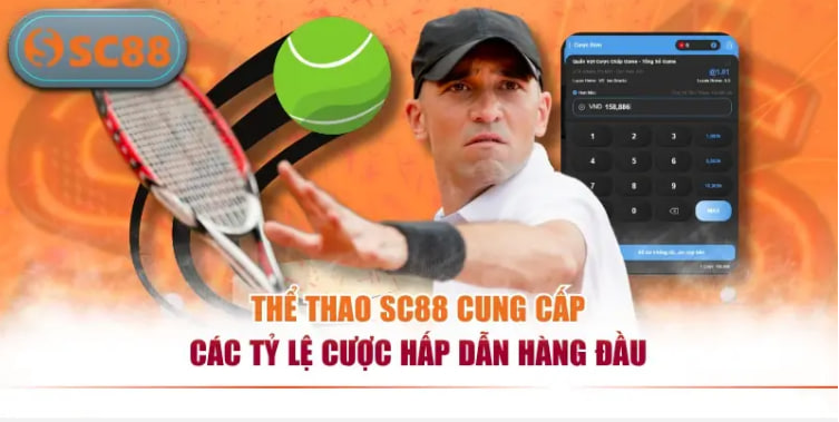 Đọc tỷ lệ hiệu quả Xác suất, biến động, thời điểm và diễn biến thực tế