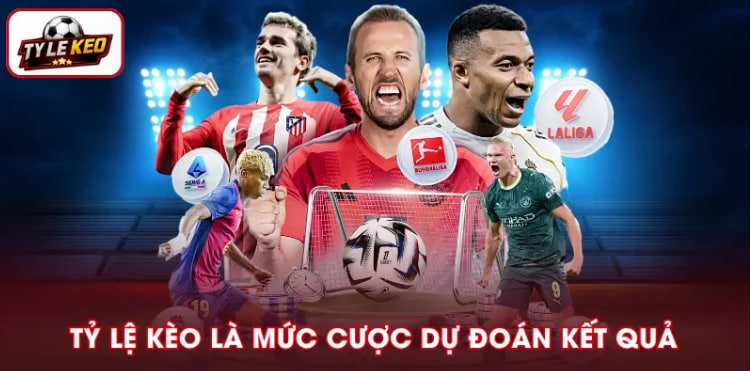 Tỷ Lệ Kèo Nhà Cái Là Gì Cách Đọc Và Phân Tích Dữ Liệu Bóng Đá