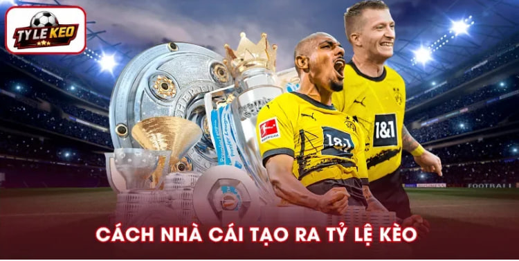 Vì Sao Tỷ Lệ Có Thể Thay Đổi