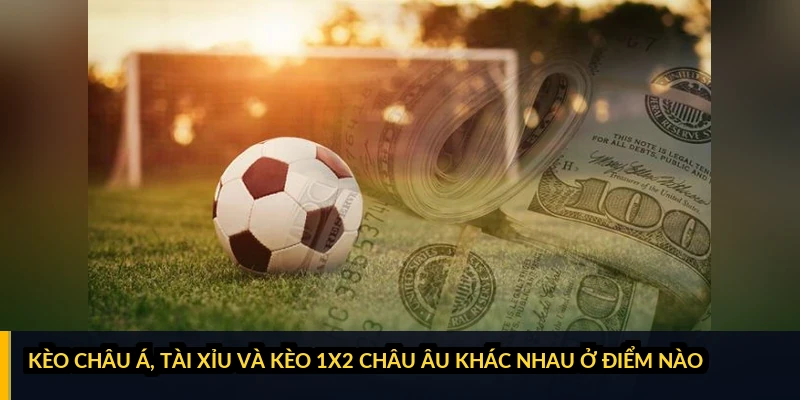 Thể thao Sv388: kèo châu Á, tài xỉu và cách đọc tỷ lệ cho người mới