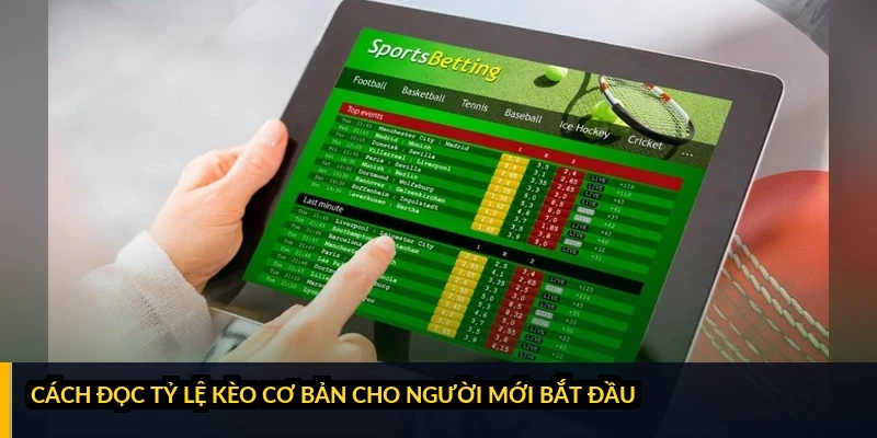 Cách đọc tỷ lệ kèo cơ bản cho người mới bắt đầu