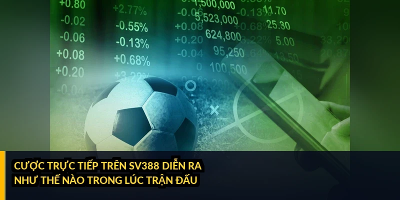 Chính sách hoàn trả cho cược thể thao hoạt động ra sao?