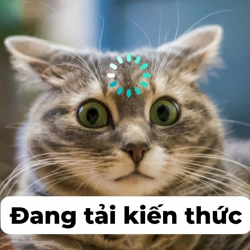 Ảnh meme - 10